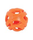 Chuckit Breathe right fetch ball