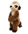 Kong Shakers Passports Meerkat Stokstaartje