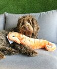 ZippyPaws Jigglerz Seahorse