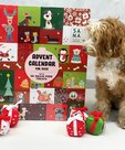Sanadog XL Adventskalender