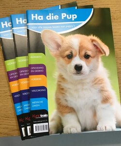 Ha die Pup