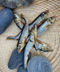 Petbit Gedroogde sprotjes