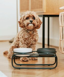 Butler voerbakstandaard S