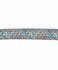 Animal Boulevard School Leash