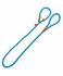 Animal Boulevard School Leash