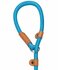 Animal Boulevard School Leash