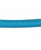 Animal Boulevard School Leash