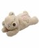 AFP Little Buddy Warm Bear