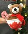 Christmas Mug Bear