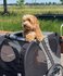 fietskar met jogger