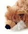 Skinneeez Fox