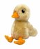 Kong Toughz Duck