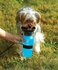 Aquadog